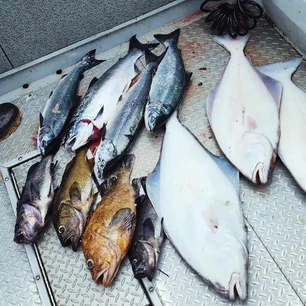 Wildfish Charters, photo 3