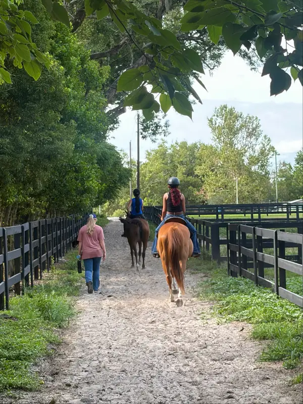 WildHeart Riding School