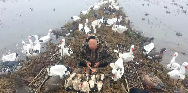 WILDLIFE GUIDE SERVICE