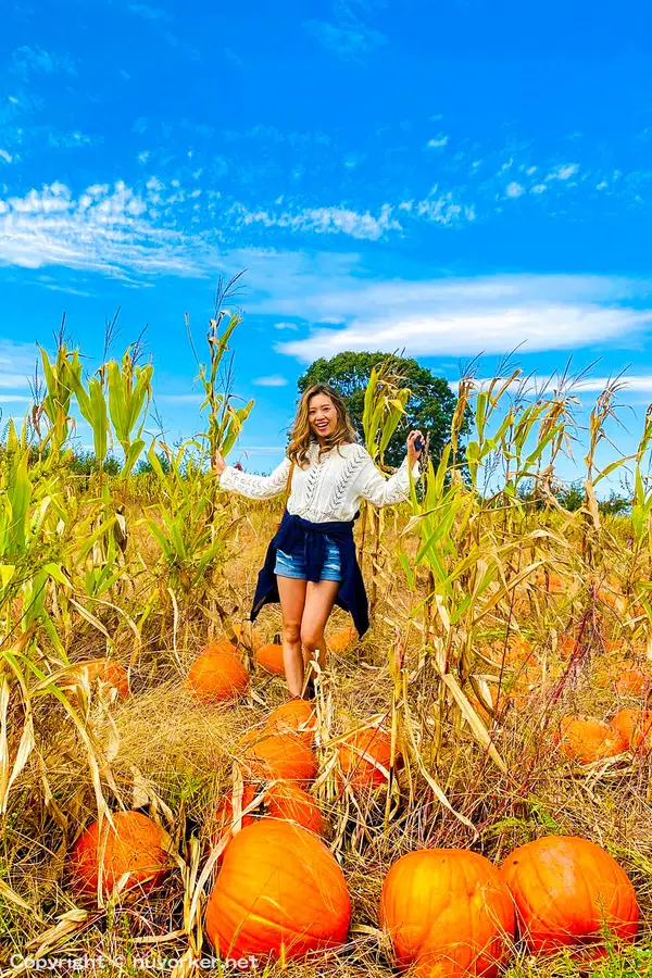 Wilkens Fruit & Fir Farm
