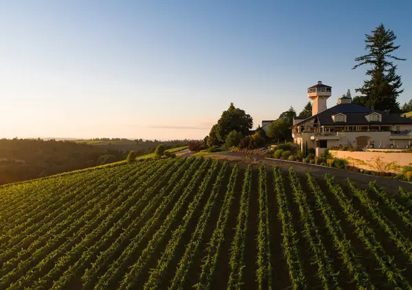 Willamette Valley Vineyards, Turner, OR