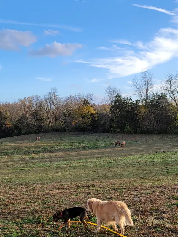 Willet Family Farm, Westminster, MD