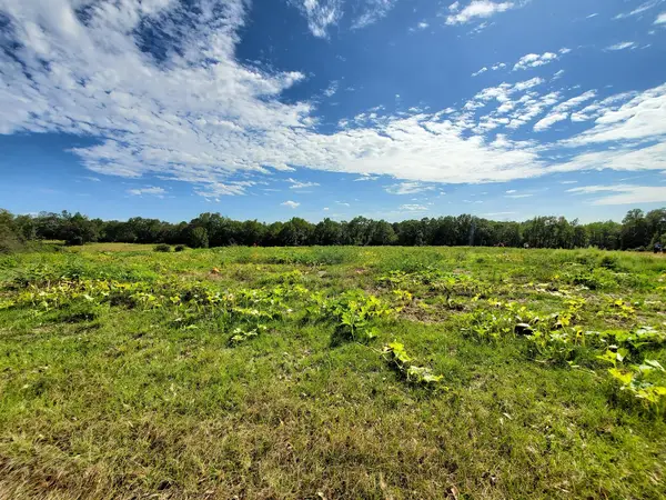 Williams Family Farms, Wiggins, MS