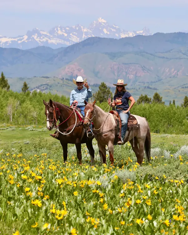 Willow Creek Horseback Rides, Jackson, WY