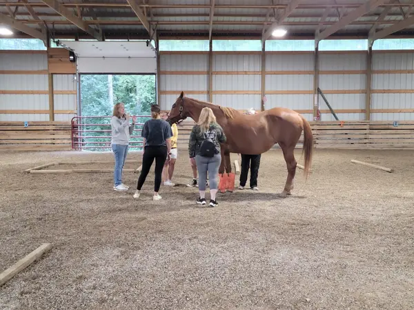Willow Creek Ranch