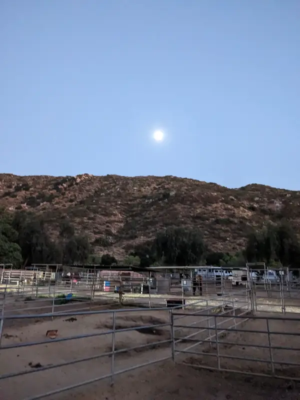 Willow Glen Equestrian Center, photo 3
