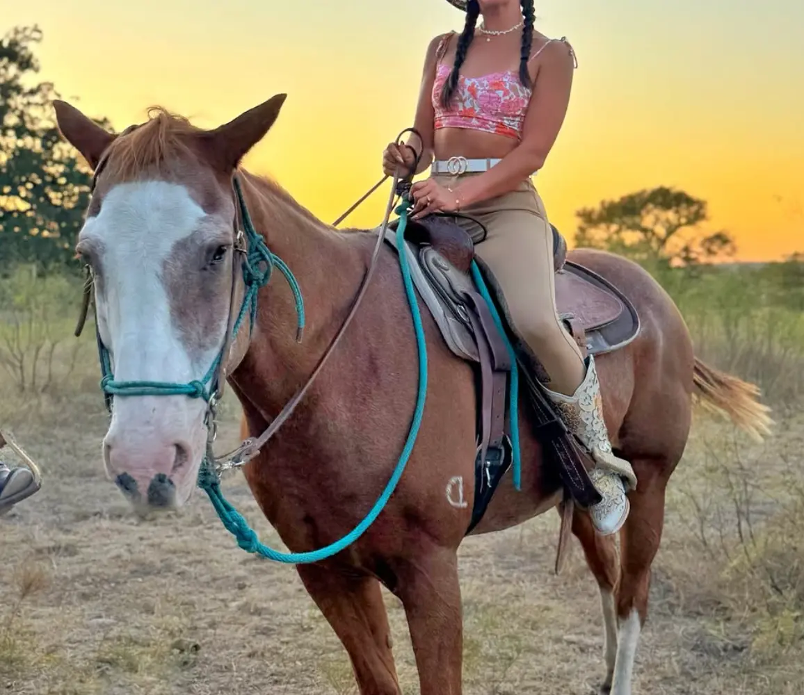 Willow Horseriding of San Antonio