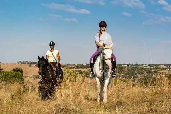 Willow Horseriding of San Antonio, photo 1