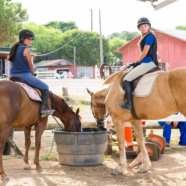 Willow Horseriding of San Antonio, photo 2