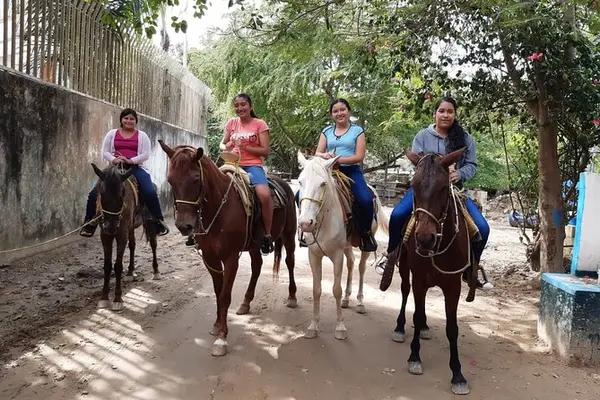 Willow Horseriding of San Antonio, photo 3