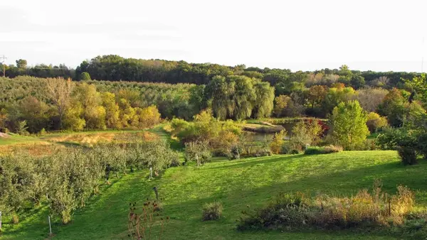 Wilson's Orchard & Farm (Iowa City), Iowa City, IA