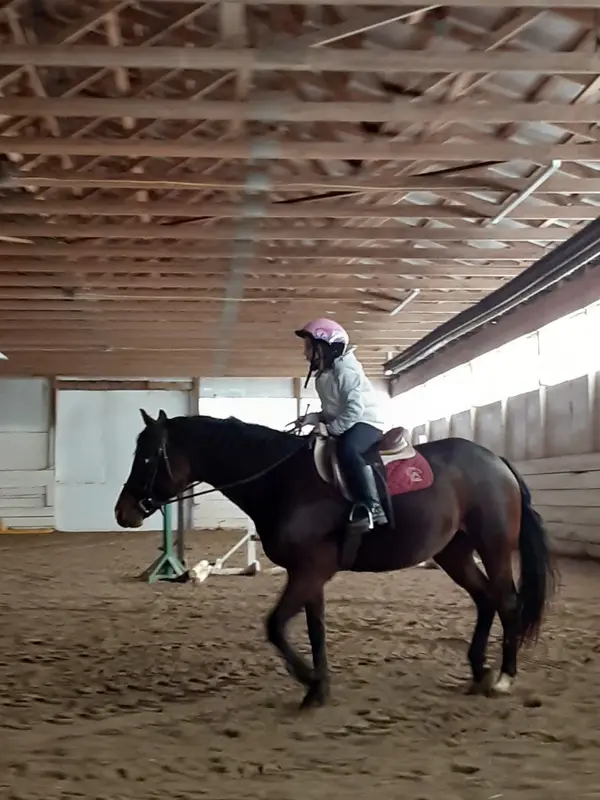Windermere Equestrian Center, Inc.