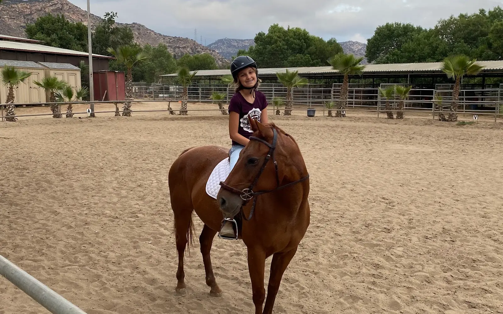 Windsor Equestrian Center