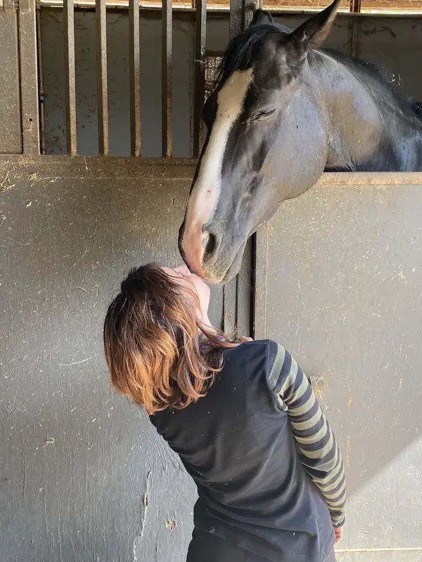 Windsor Equestrian Center, photo 3