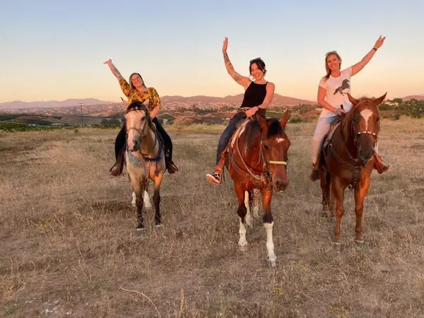 Wine Country Trails by Horseback, photo 1