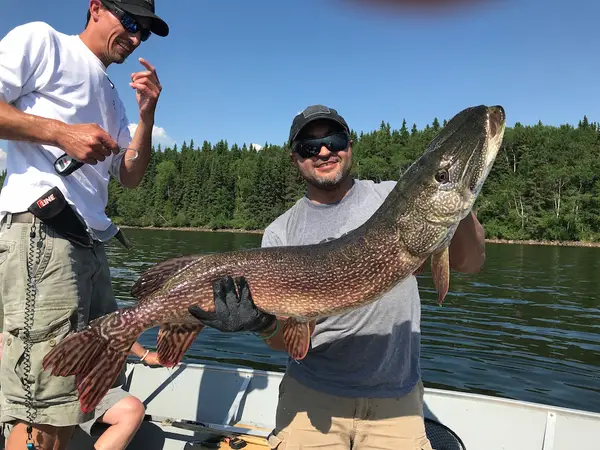 Winefred Lake Lodge, photo 3