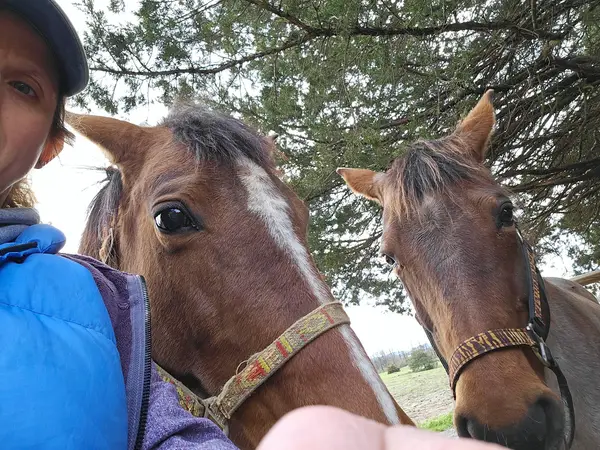 Winsome Farm Ranch Resort