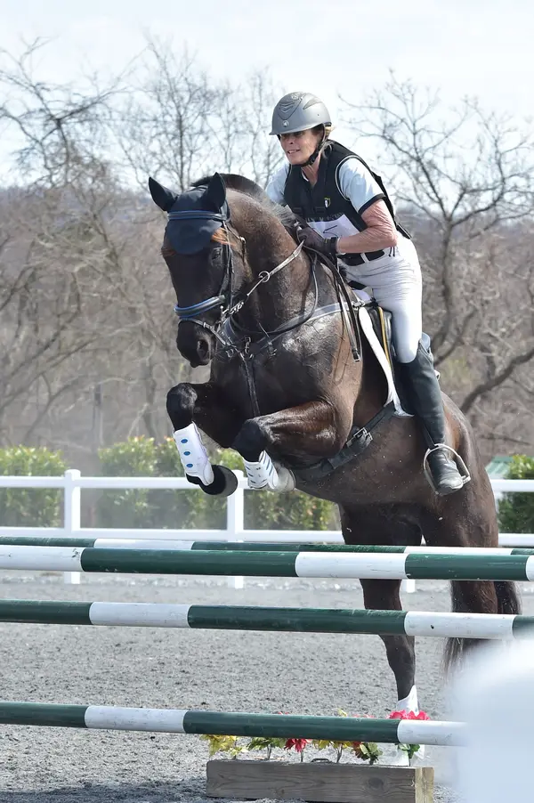 Winswept Stables, Millsboro, DE