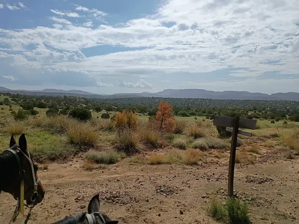 WolfHorse Outfitters