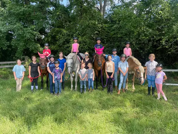 Woodfield Farms Equestrian LLC