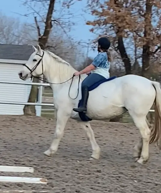 Woodloch Stable, Inc.