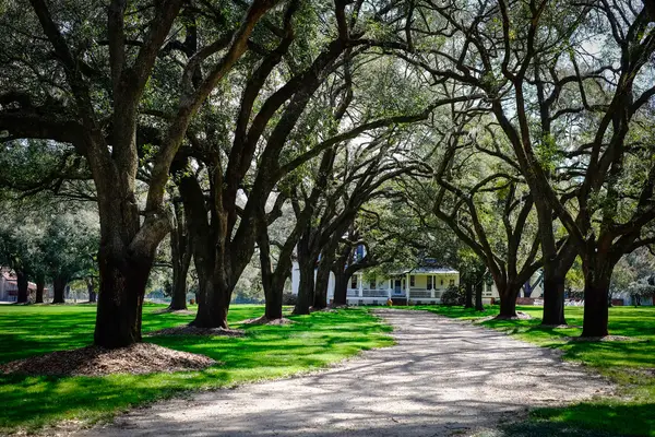 Woodside Plantation