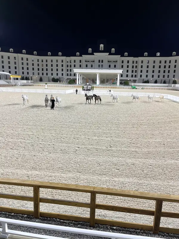 World Equestrian Center Ocala, photo 1