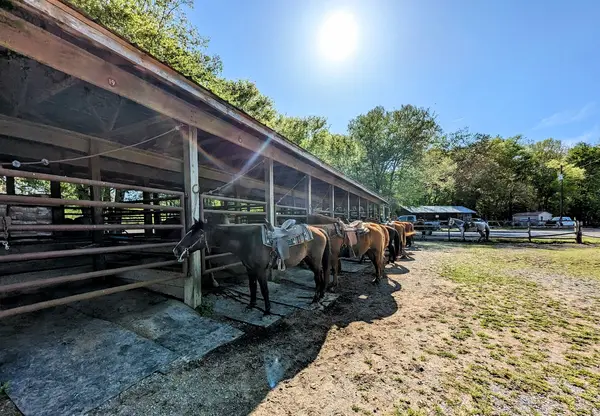 Wranglers Campground: Land Between the Lakes