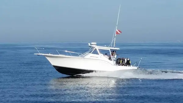 Wrightsville Beach Diving