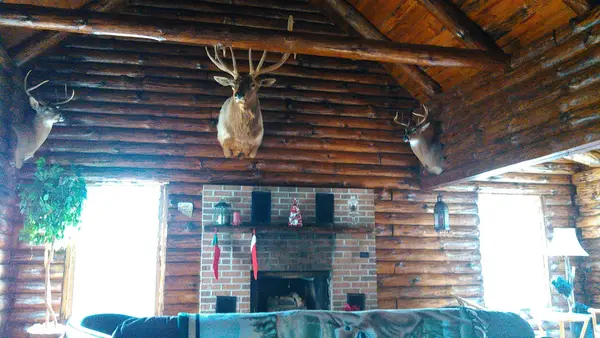 Ye Ole Hillbilly Lodge & Outfitter