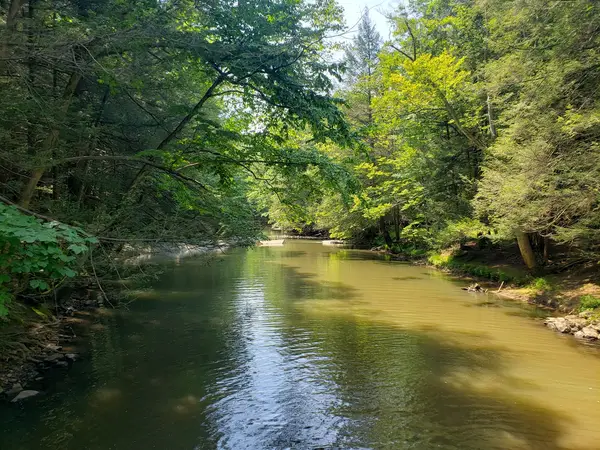 Yellow Creek Trout Inc
