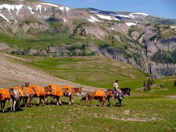 Yellowstone Outfitters