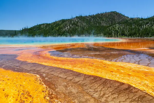 Yellowstone Safari Company, Bozeman, MT