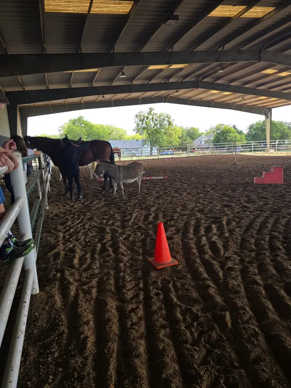 YMCA Camp Carter Equestrian Center, photo 1