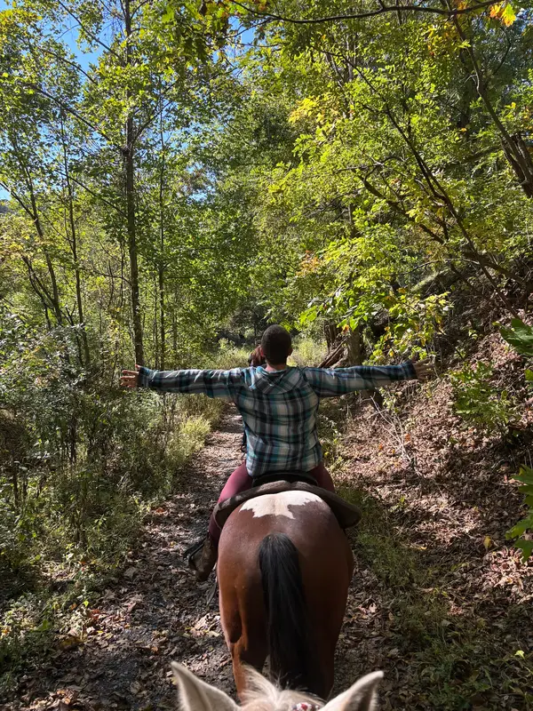 Yokum's Riding Stables