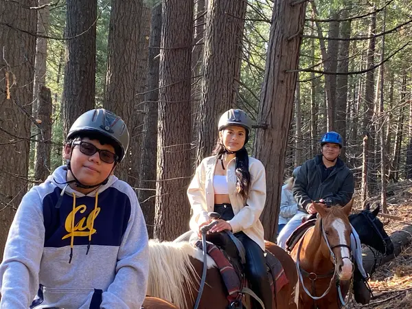 Yosemite Trails Horseback Adventures