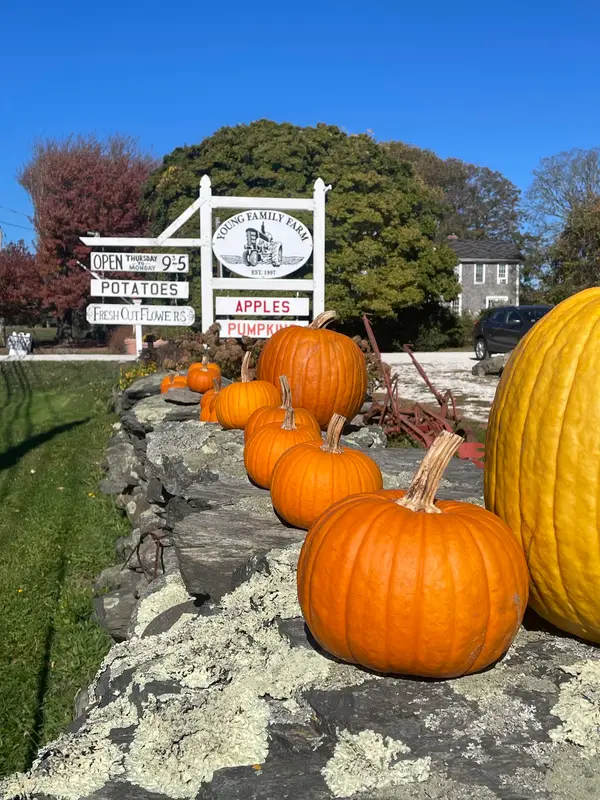 Young Family Farm, Little Compton, RI