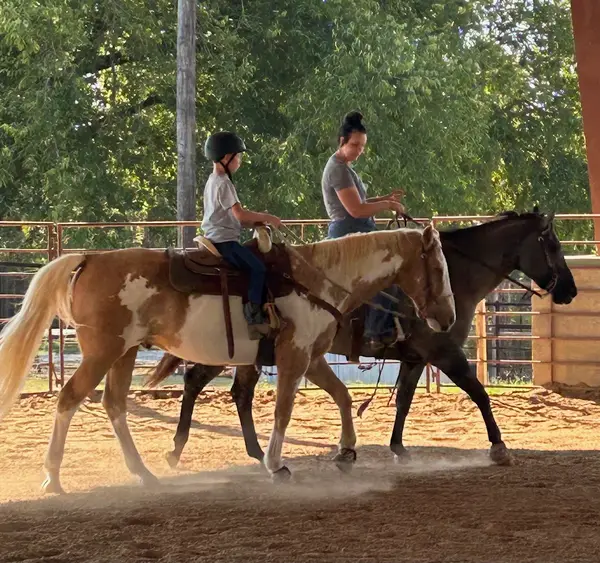 Younger Stables and Arena, photo 2