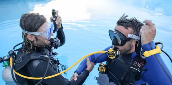 Zanzibar Dive