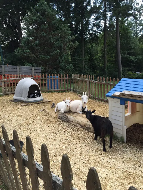 Zenko Family Farm, Monroe, CT