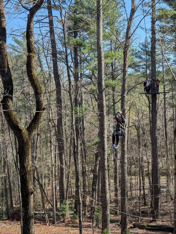 Zipline Canopy Tours of Blue Ridge, Blue Ridge, GA
