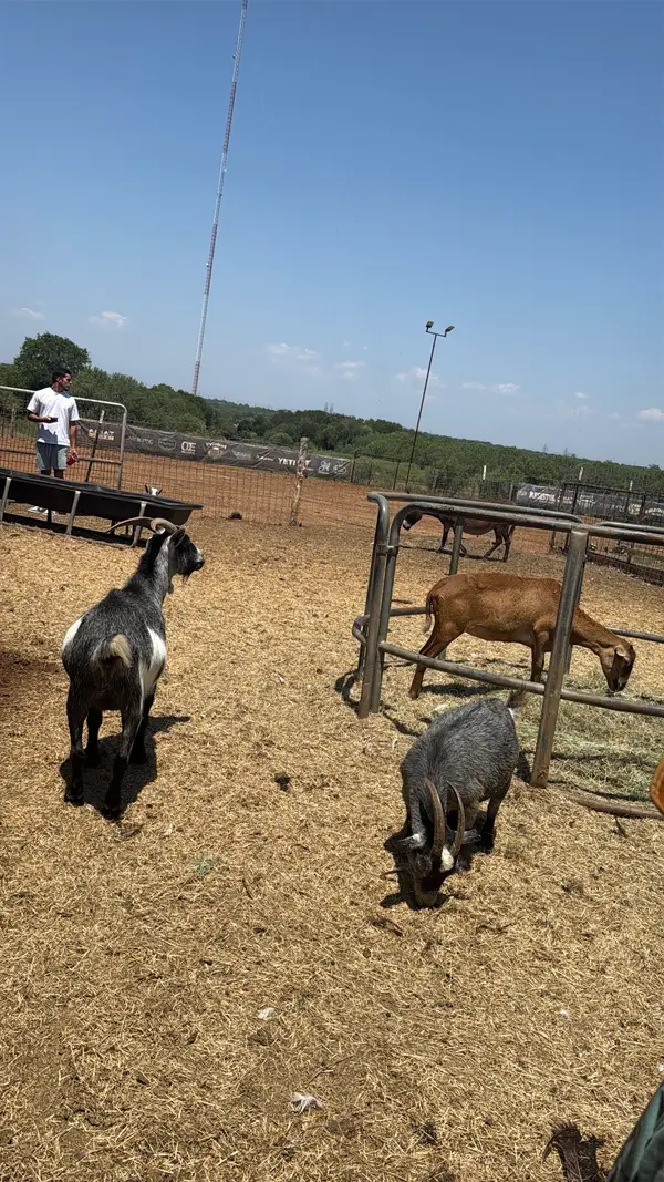 Zolten’s Ranch, photo 3