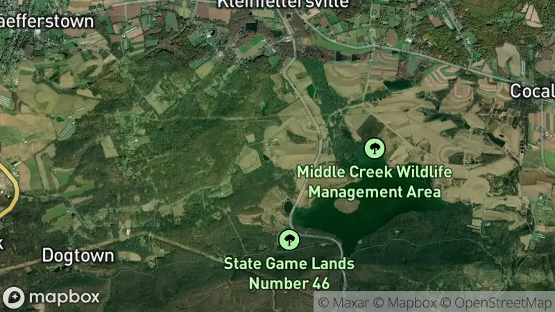 Map of where the Middle Creek Snow Goose Cam (Willow Point) webcam is