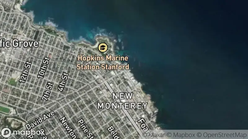 Map of where the Monterey Bay Aquarium Live Cams (Kelp Forest, Open Sea, Shark) webcam is