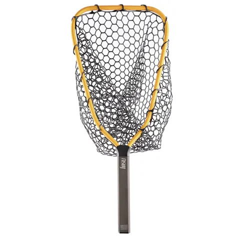 Rising Brookie Net