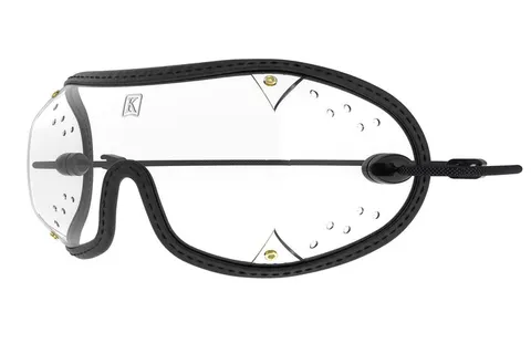 DZ II Goggles