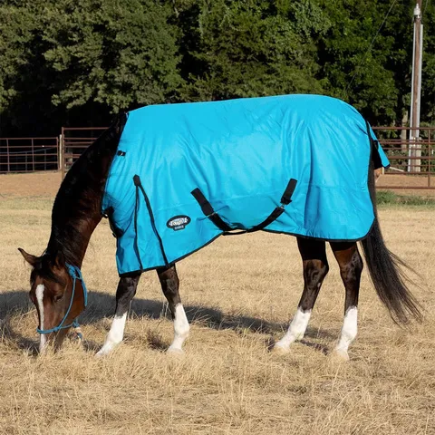Basics 1200D Turnout Blanket (300g Fill)