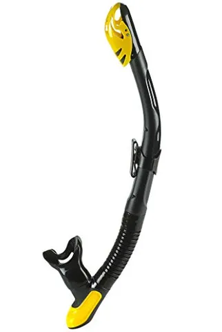 Ergo Dry Snorkel
