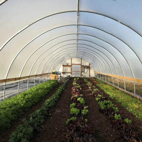 DIY High Tunnel Greenhouse Kit, 12 ft Wide