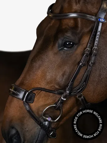 High Jump Anatomical Bridle